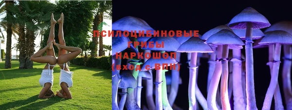 прущий лед Алексин
