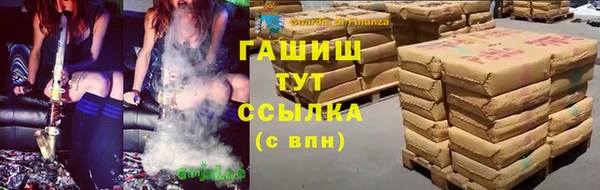 прущие грибы Пестово