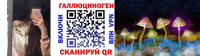 где купить наркоту  Киреевск  Псилоцибиновые грибы ЛСД 